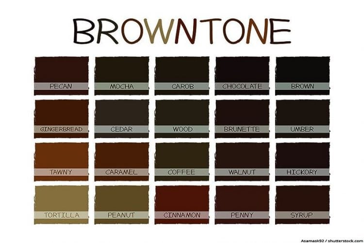 How to Make Brown Paint A Guide on Mixing Brown Tones