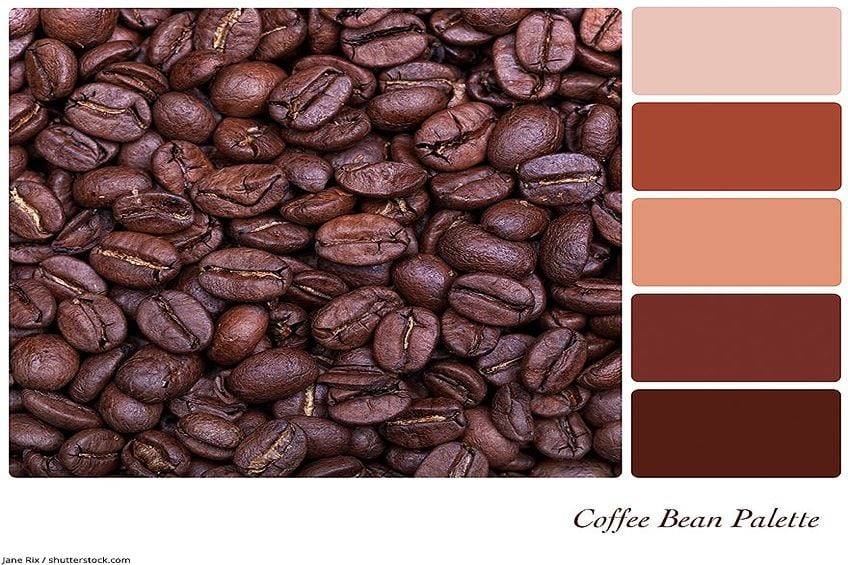 Brown Color Palette Coffee Bean