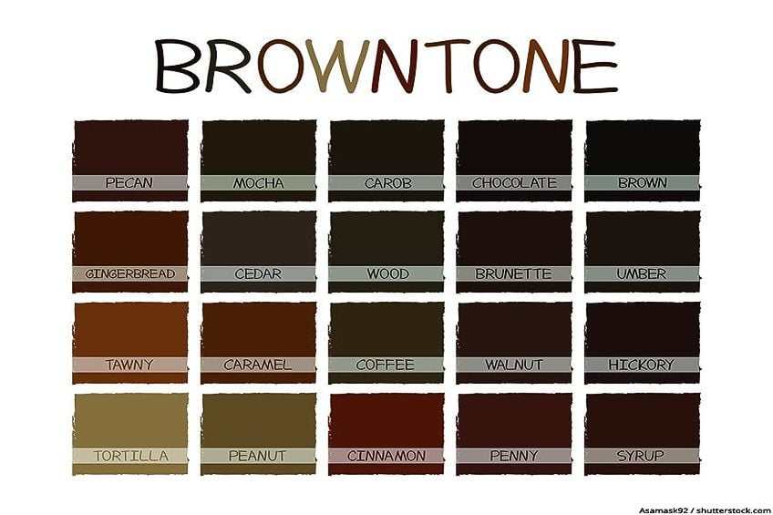 Guide to Brown  Brown paint colors, Shades of brown paint, Paint