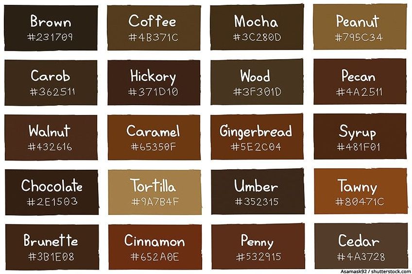 Brown Paint in Paint Colors