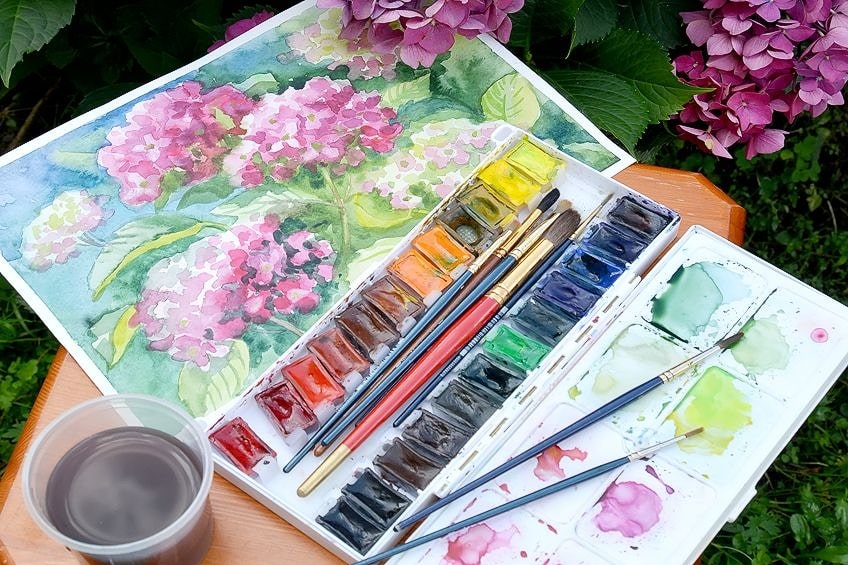 Best Watercolor Paints Choosing the Best Watercolor Set for Your Art