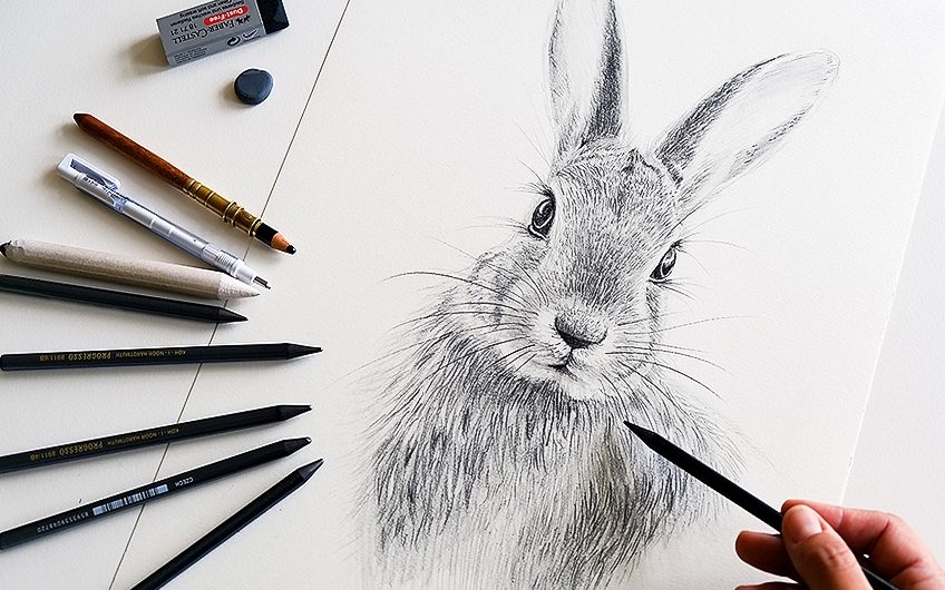 Easter Bunny Ink Drawing by Damian's Art | Cardly