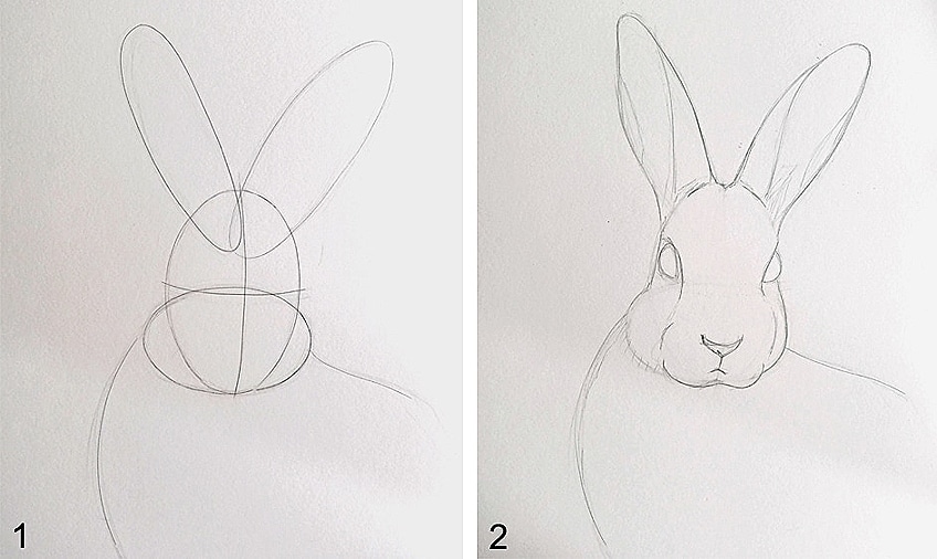 how to draw a bunny face step by step