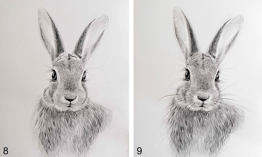 Learn How to Paint a Beautiful Bunny | Bunny drawing, Rabbit drawing, Realistic  drawings