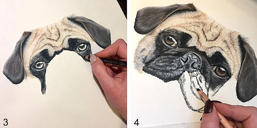 How to Draw a Dog in 4 easy steps! - Smiling Colors