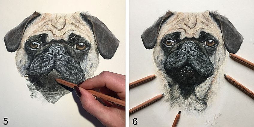 How to Draw a Dog Step by Step 3