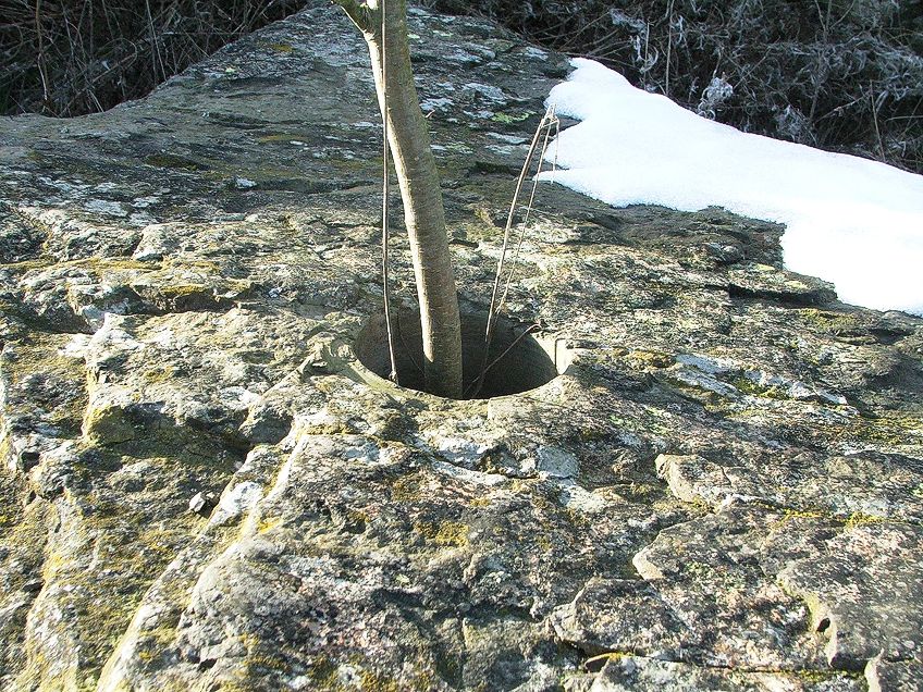 Nature Artist Andy Goldsworthy