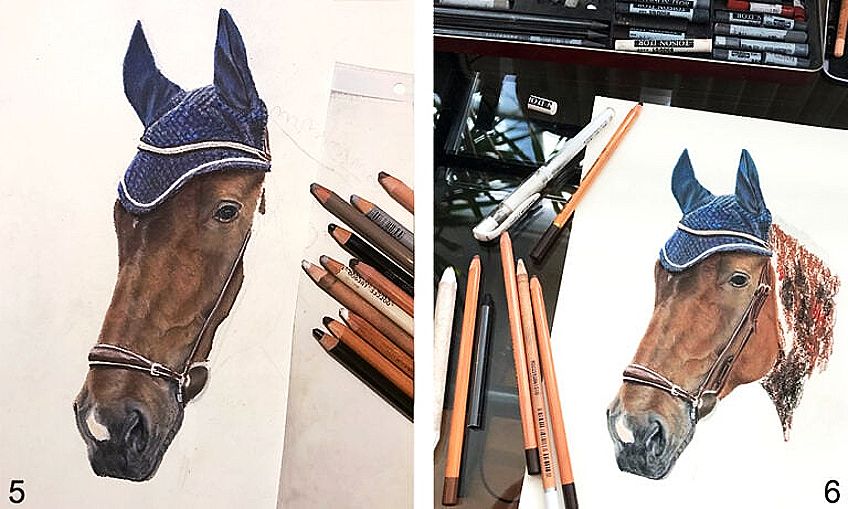 drawings of horses heads