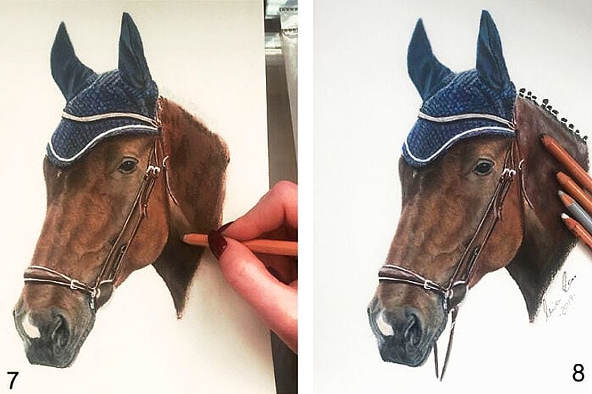 horse head drawing in pencil