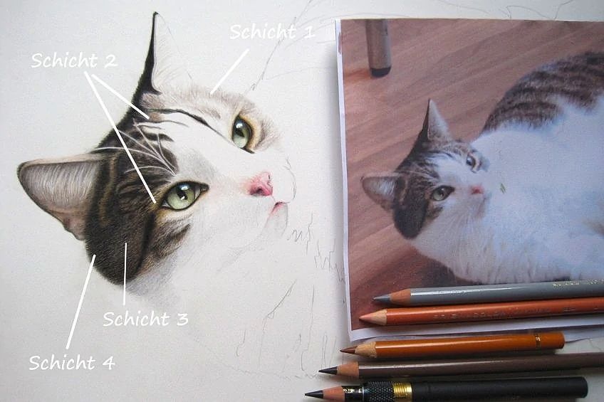 How to Draw Animals Step by Step