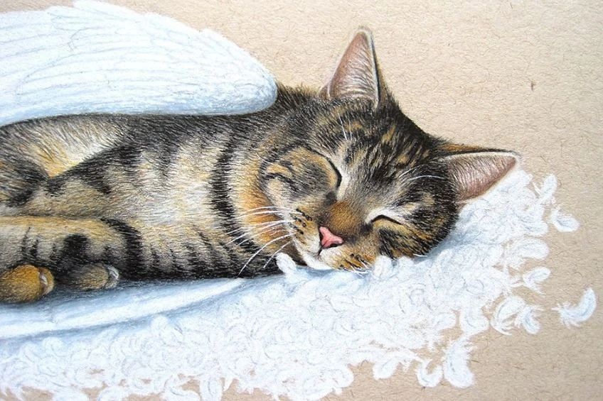 How to Draw Cute Animals: for Beginners Learn To Draw Playful Pets