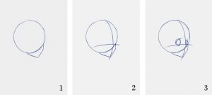 How to Draw Manga - A Guide on How to Draw Anime Characters