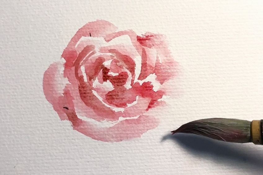 rose drawing with watercolor