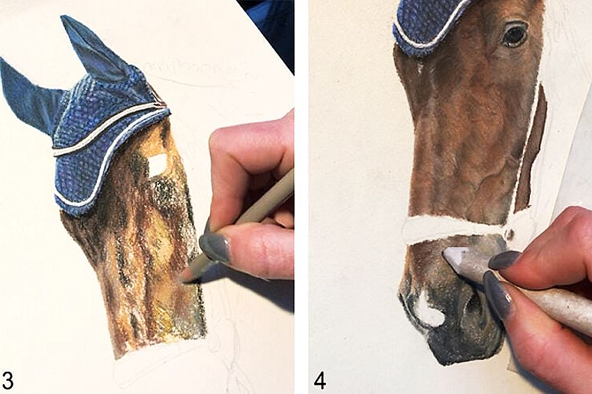 How to Draw a Horse Head - Create a Realistic Horse Head Drawing 