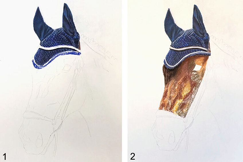 Step to Draw a Horse Head