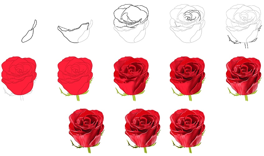 How To Draw A Rose? A Step-By-Step Tutorial For Kids