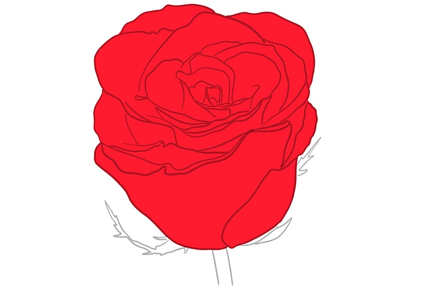 Beautiful Rose Sketch Stock Illustration - Download Image Now - Beauty,  Black Color, Blossom - iStock