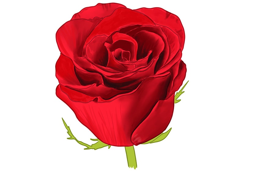 Watercolor, red roses, clip art hd, on white background --ar 32 --s1000 on  Craiyon