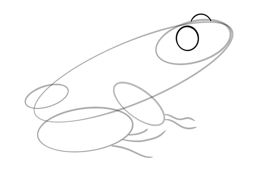 Draw a Frog Step 6