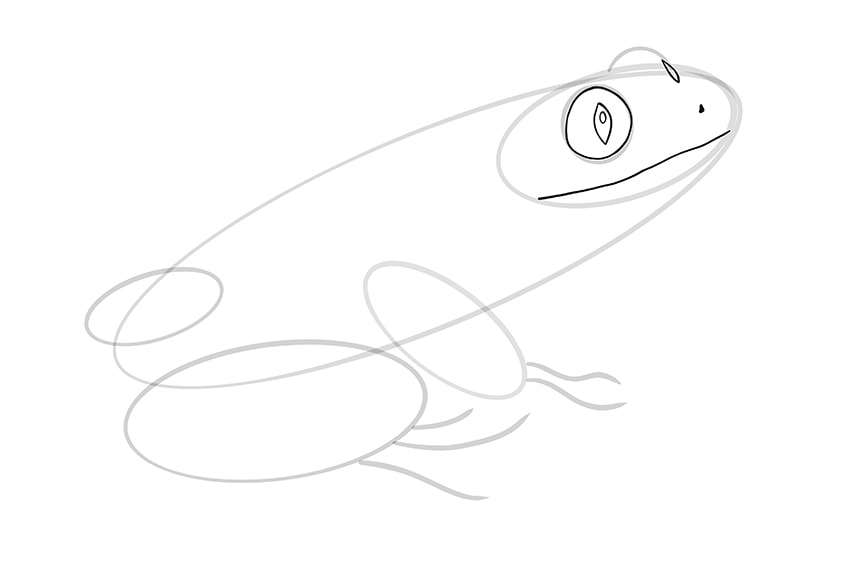 Draw a Frog Step 7