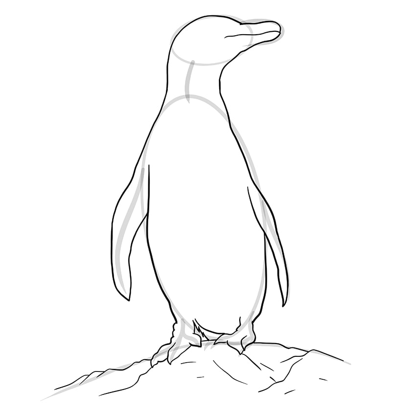 Easy Penguin Drawing Step 08