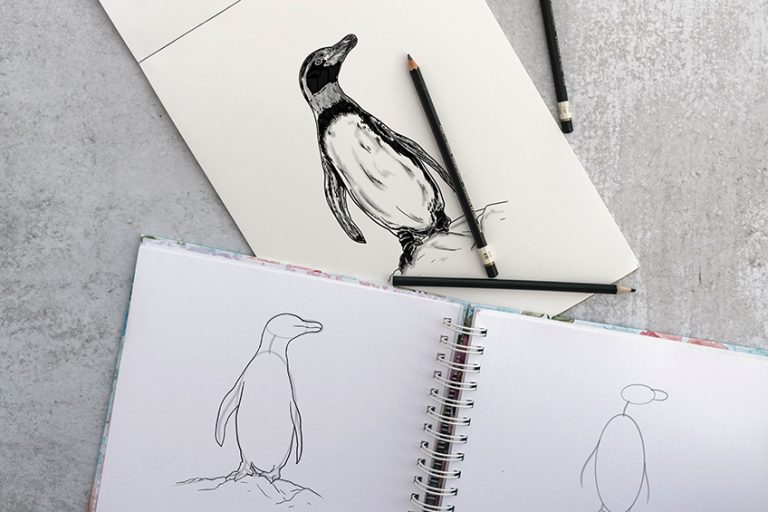 How to Draw a Penguin – A Step-by-Step Penguin Drawing Guide