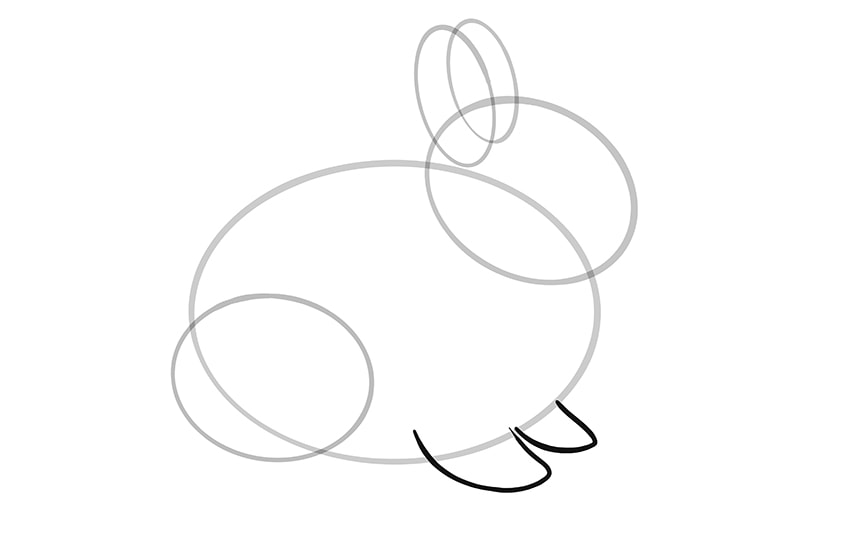 bunny drawing 5