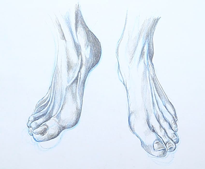feet drawing 53