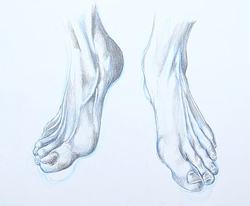 foot reference