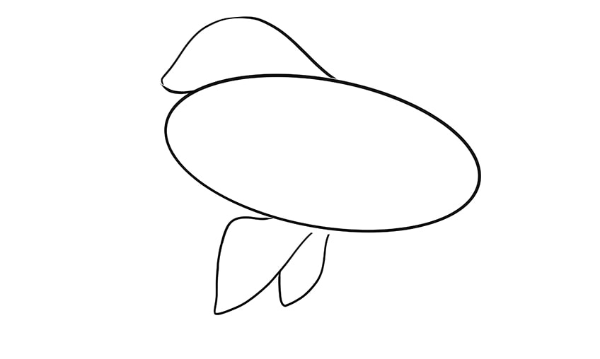 goldfish drawing 4
