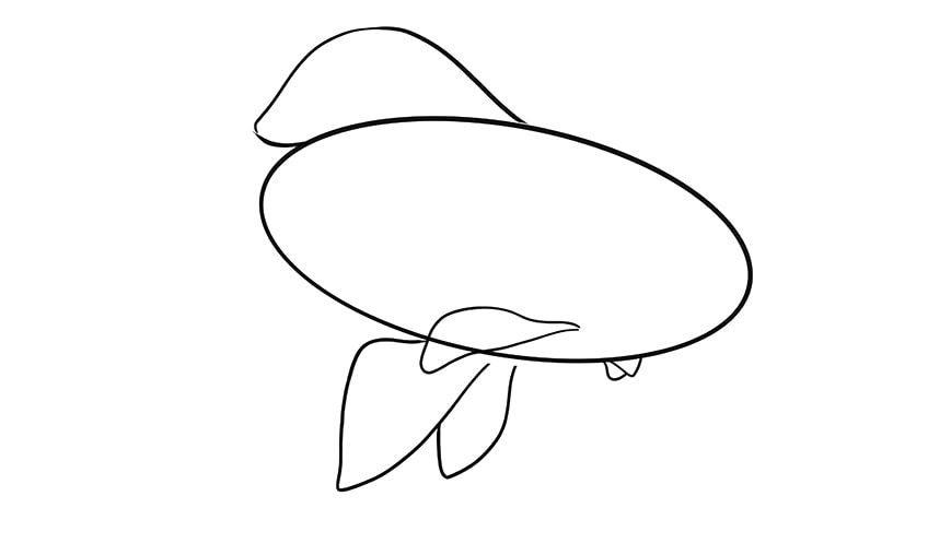 goldfish drawing 5