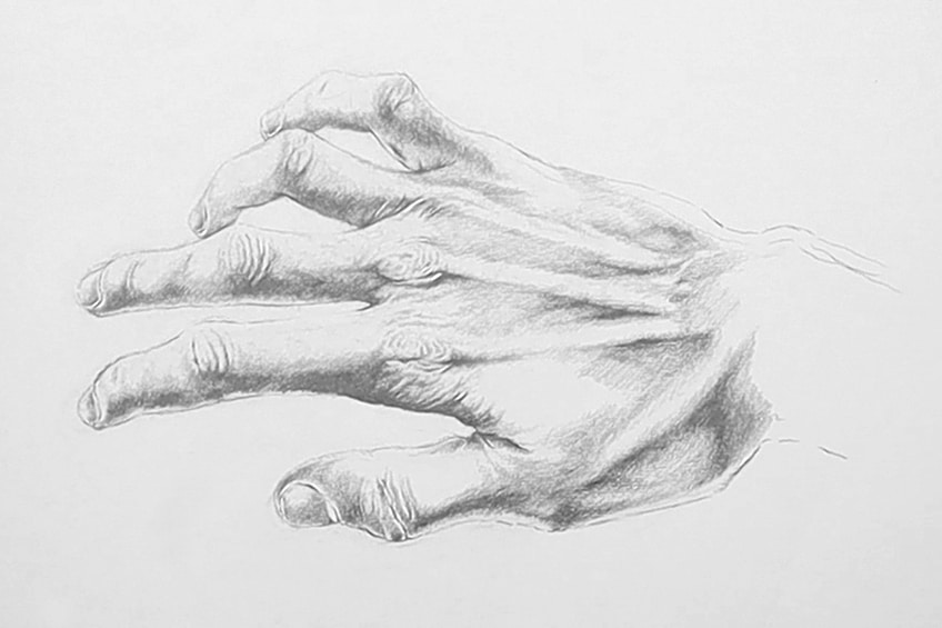 Thumb Drawing Hand model Sketch, hand, pencil, hand png | PNGEgg