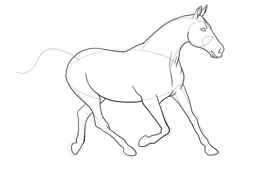 horse drawing 11