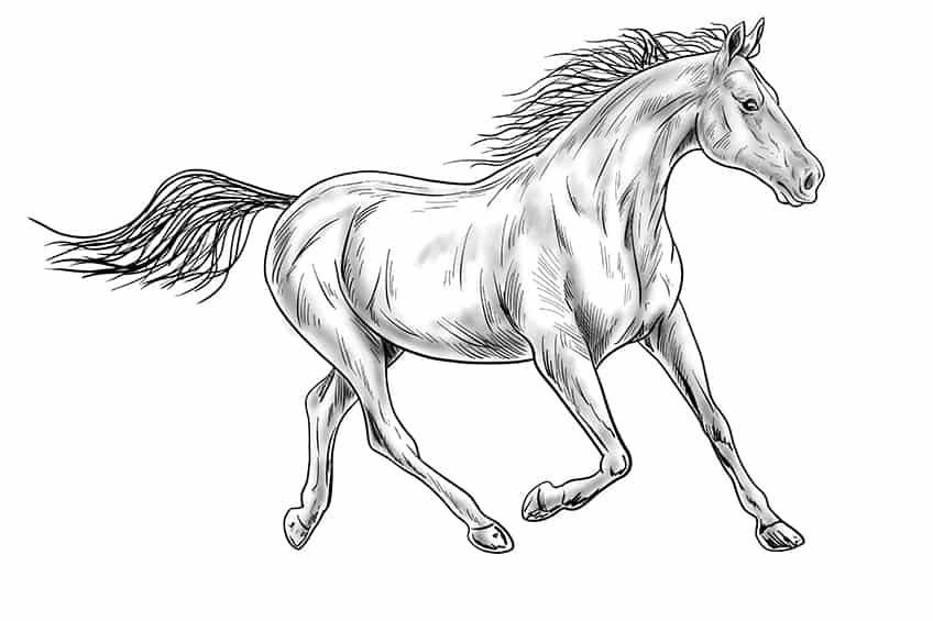 fallen horse sketch easy