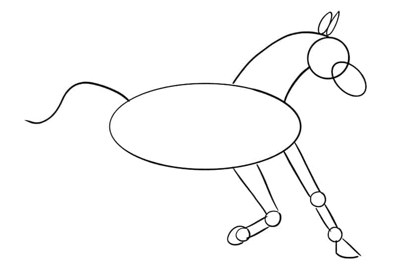 رسم الحصان 8