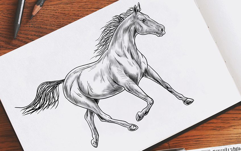 How To Draw A Horse A Detailed And Easy Horse Drawing Tutorial