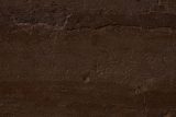 Shades of Brown - Exploring the 124 Most Important Tones