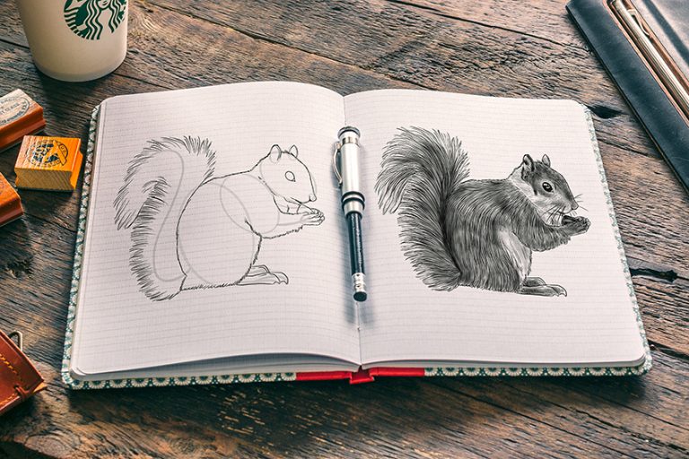 How to Draw a Squirrel – A Step-by-Step Squirrel Drawing Guide