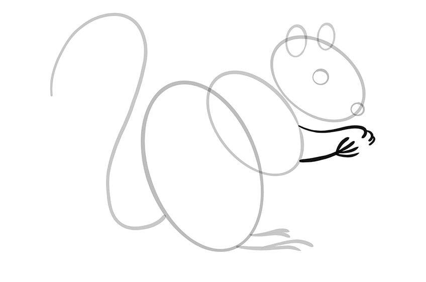 How to Draw a Squirrel Step 08
