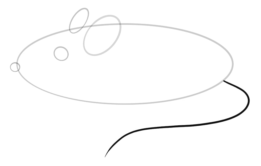 Mice Drawing Step 05