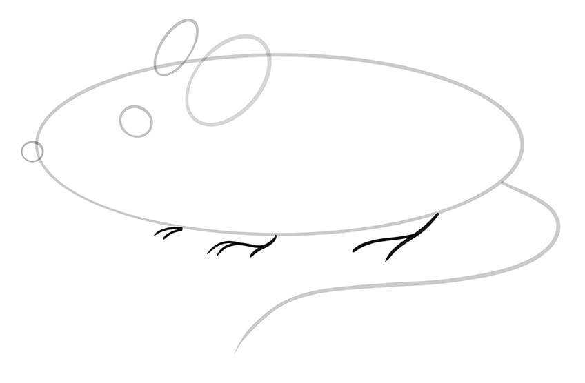 Mice Drawing Step 06