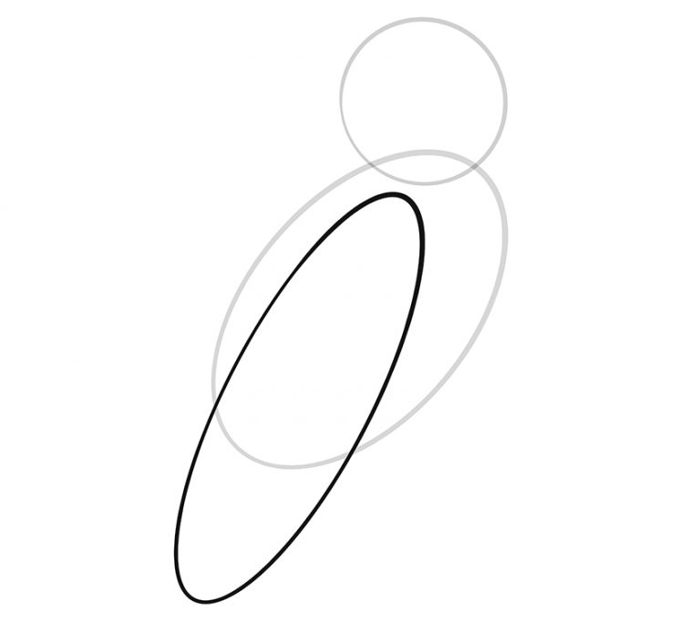 How to Draw an Owl - An Owl Drawing Tutorial for Beginners