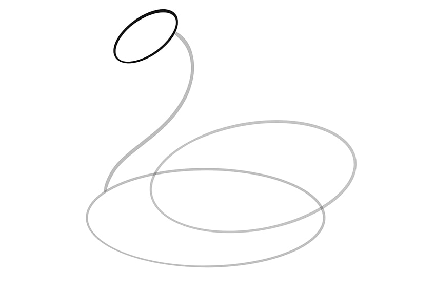 Step 04 of Swan Drawing