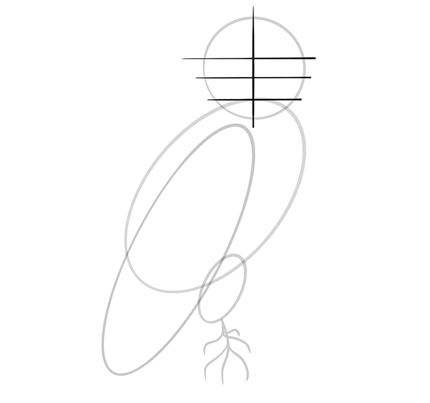 Step 06 of Owl Drawing