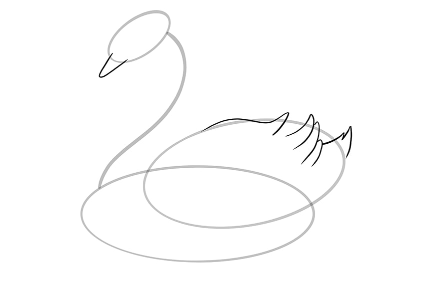 Step 06 of Swan Drawing
