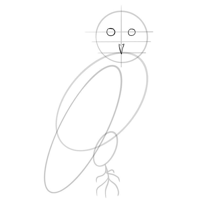 Step 07 of Owl Drawing