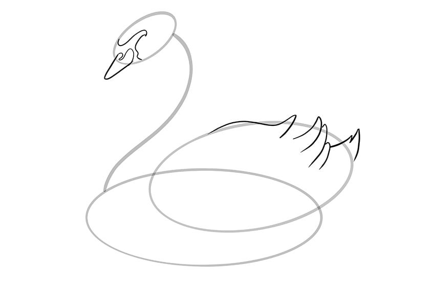 Step 07 of Swan Drawing