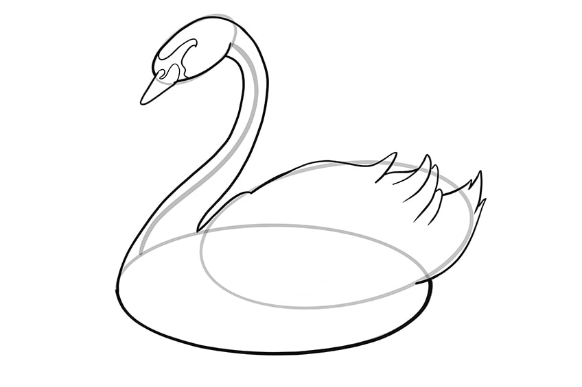 Step 09 of Swan Drawing