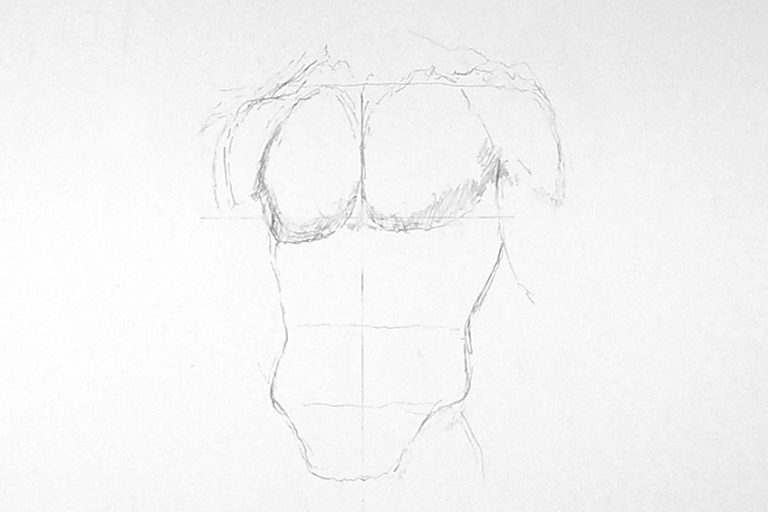 How to Draw Abs A StepbyStep Guide to Creating an Abs Drawing