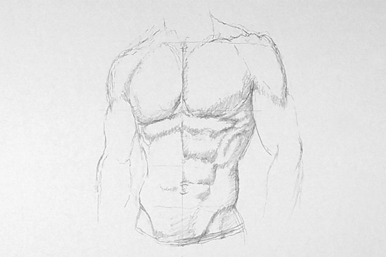 How to Draw Abs A StepbyStep Guide to Creating an Abs Drawing